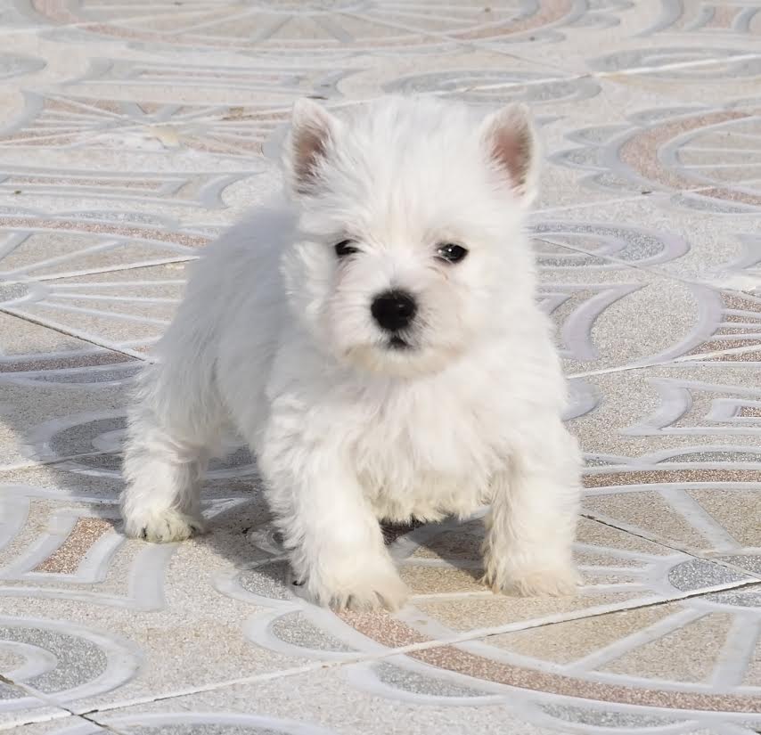 Galería de imágenes